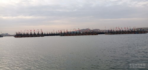 春暖花开回家之旅 5 傍晚时分到日照黄海中心渔港走一趟